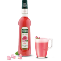 Mathieu Teisseire Rose Sirup